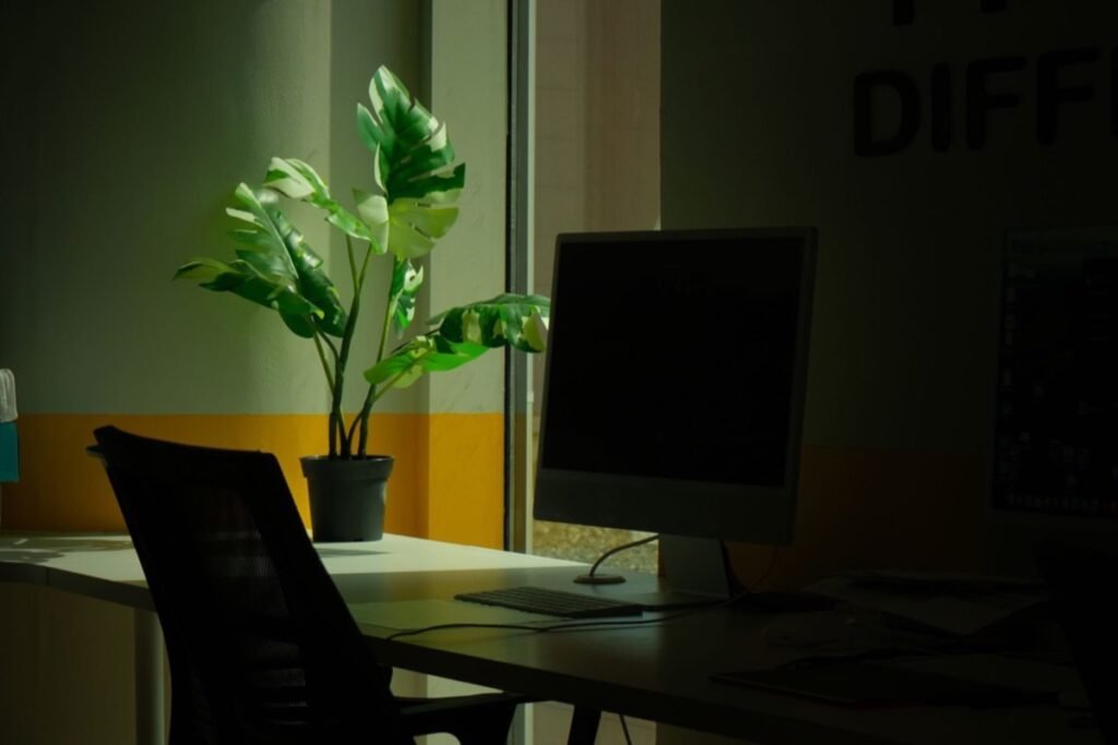 Escritório com computador e planta